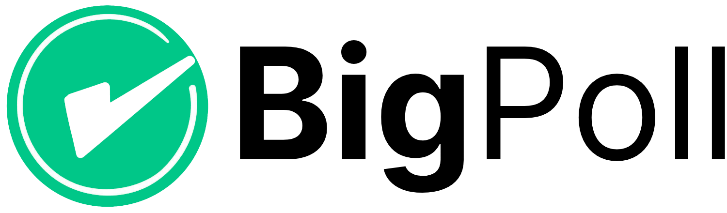 BigPoll Logo